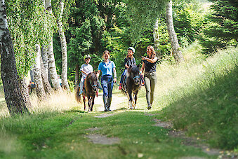 Forellen-Reiterhof umgeben vom Wald